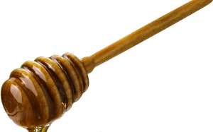 Honey PNG-11582